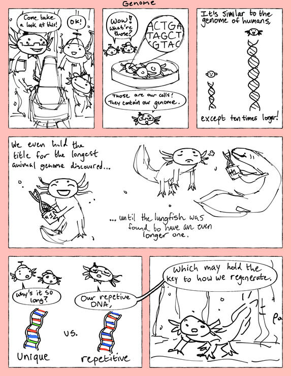 2025 2025